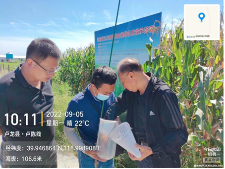 秦皇岛市农业农村局检查指导卢龙县农作物病虫害监测防控及农药减量增效工作