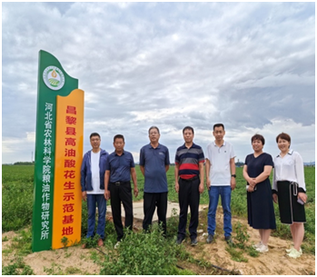 河北省农林科学院粮油作物研究所 专家团队到我市考察指导 高油酸花生院市合作项目