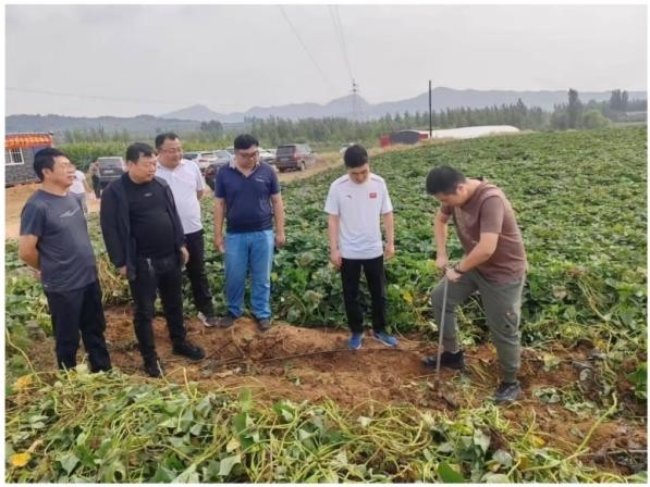 秦皇岛市耕地质量监测保护中心开展耕地质量监测点位土壤取样技术指导 工作