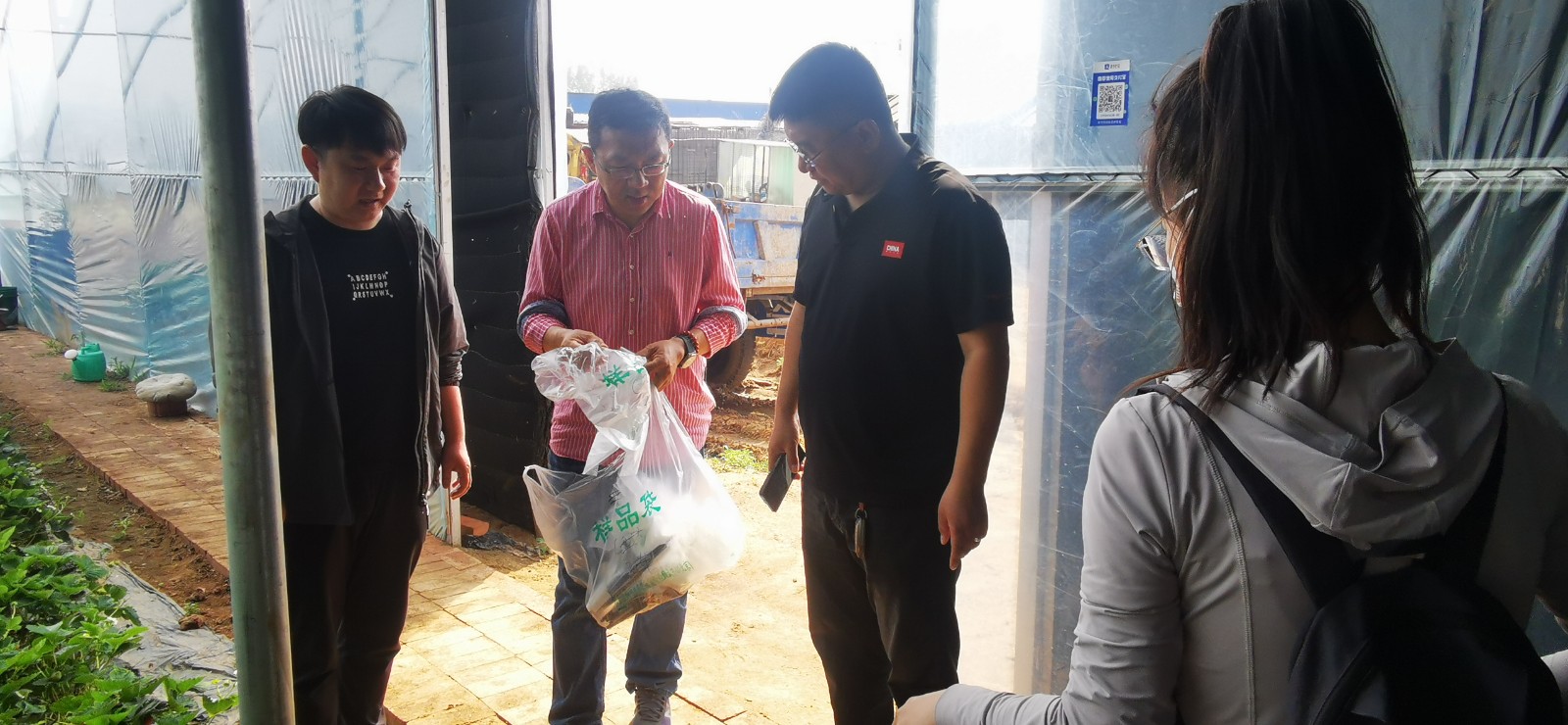 农业部蔬菜品质检验测试中心到昌黎县、卢龙县进行国家农产品质量安全风险监测
