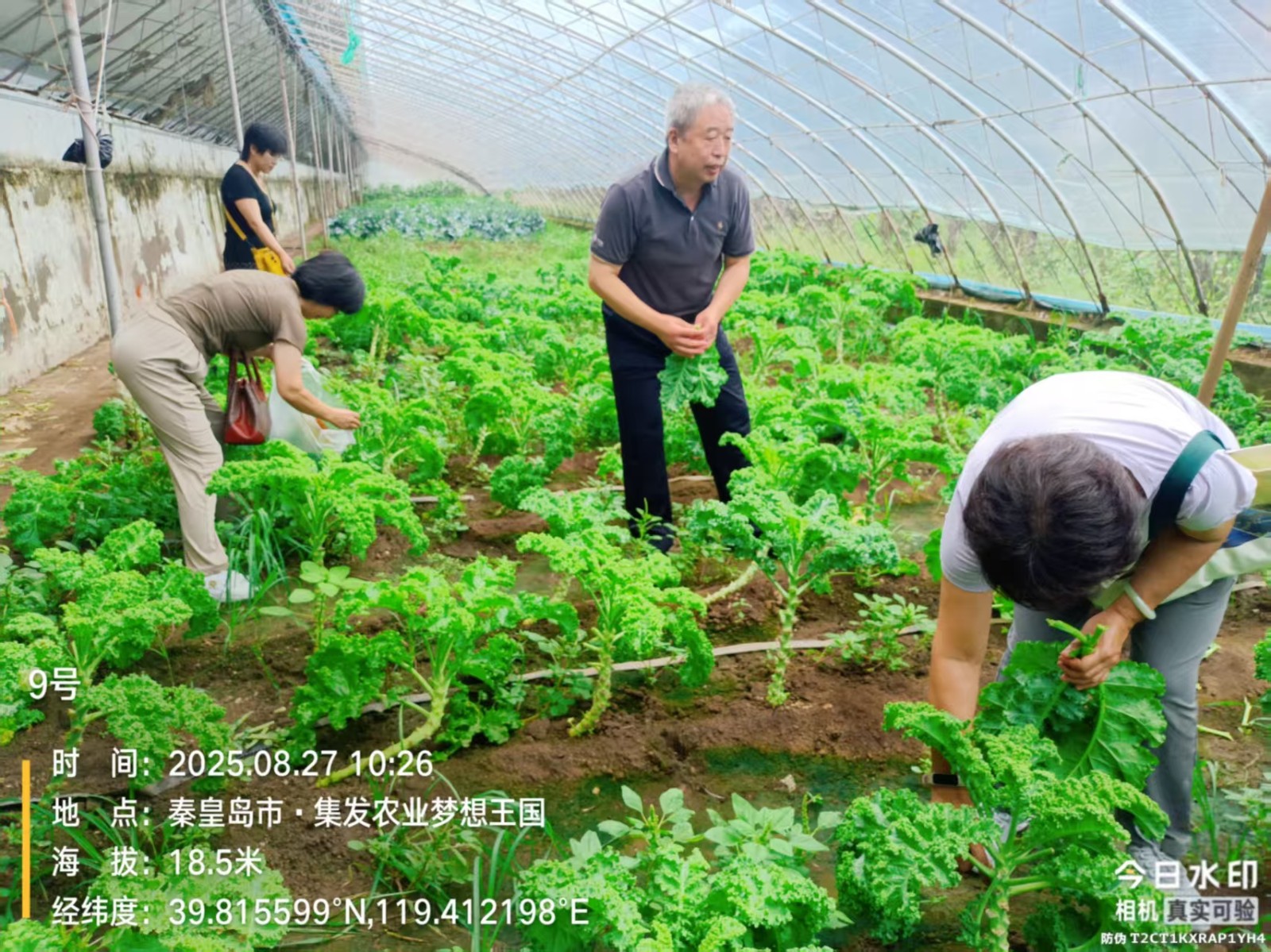 秦皇岛市农业农村局协助省农检中心到集发开展果蔬风险监测抽样工作