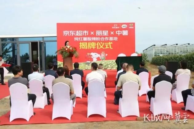 秦皇岛卢龙：共建甘薯全产业链