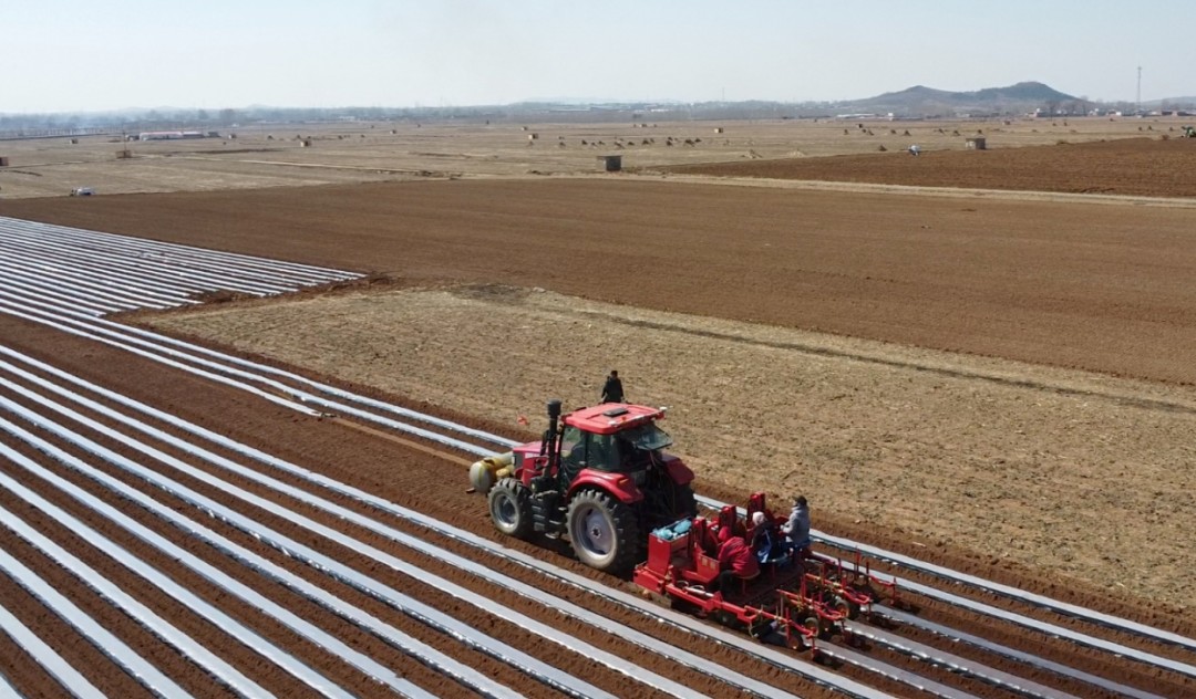 乡村振兴进行时丨科技赋能春耕忙 现代农业助振兴